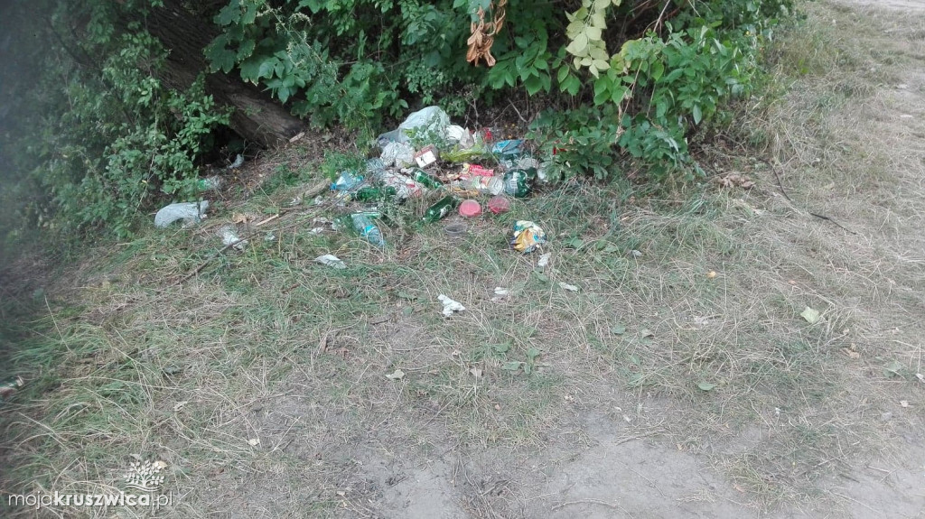 Śmieci nad Gopłem