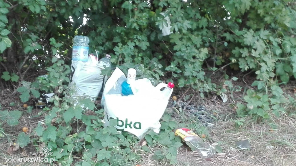 Śmieci nad Gopłem