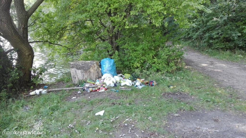 Śmieci nad Gopłem