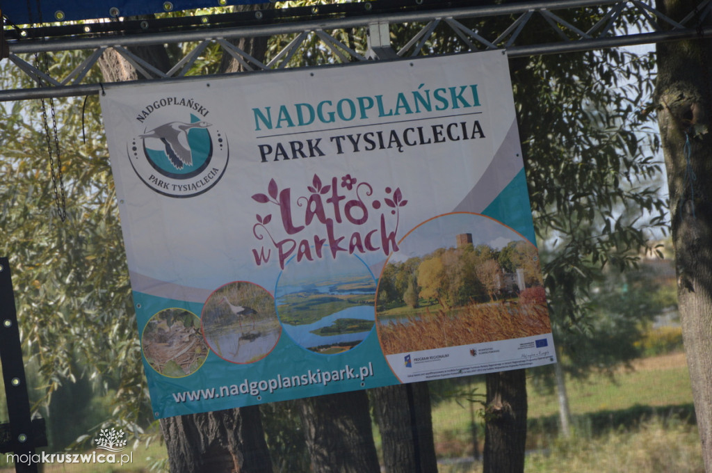 Lato w Parku. Możemy zwiedzać stoiska