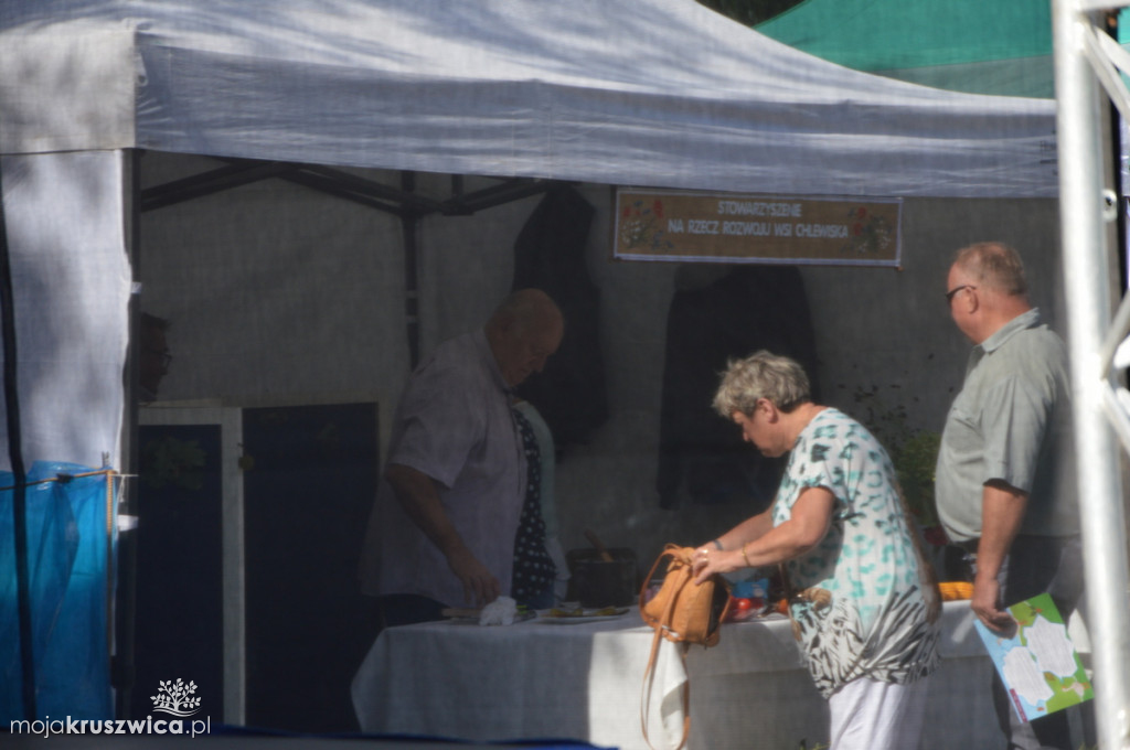 Lato w Parku. Możemy zwiedzać stoiska