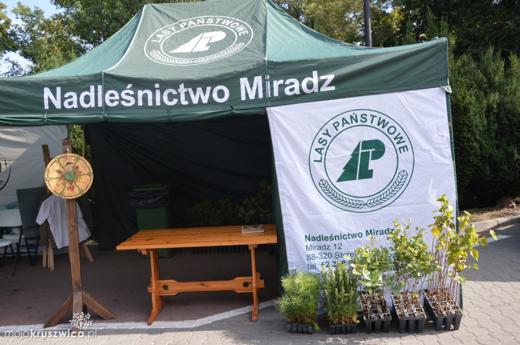 Lato w Parku. Możemy zwiedzać stoiska
