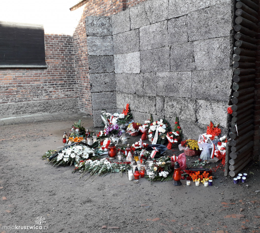 Wadowice i Oświęcim [FOTO]