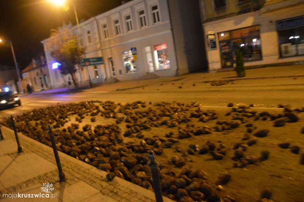 Zgubił buraki jadąc przez miasto