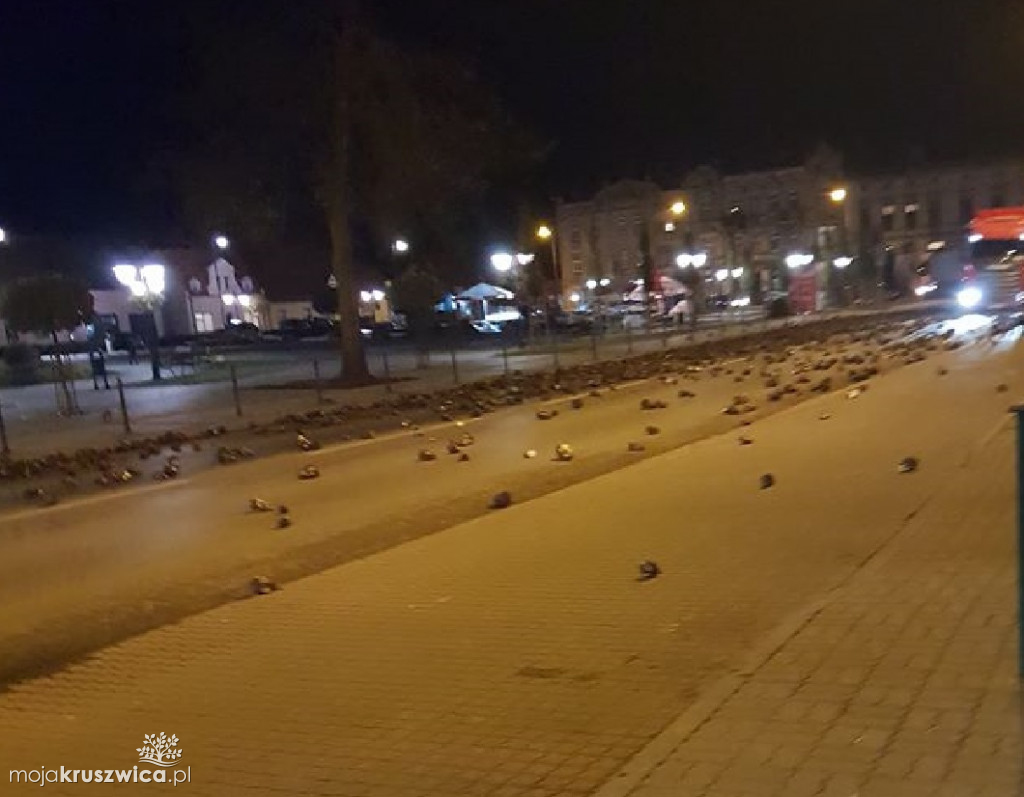Zgubił buraki jadąc przez miasto