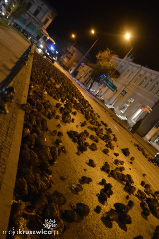 Zgubił buraki jadąc przez miasto