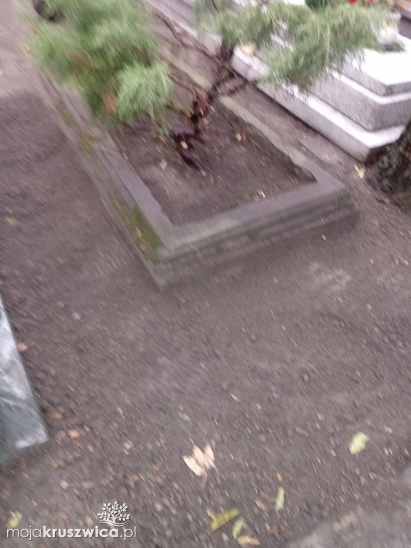 Społecznie posprzątali opuszczone groby