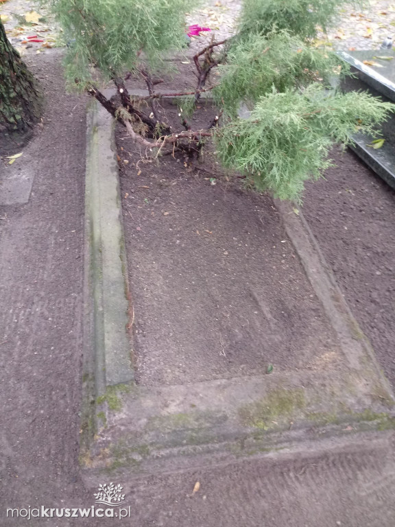 Społecznie posprzątali opuszczone groby