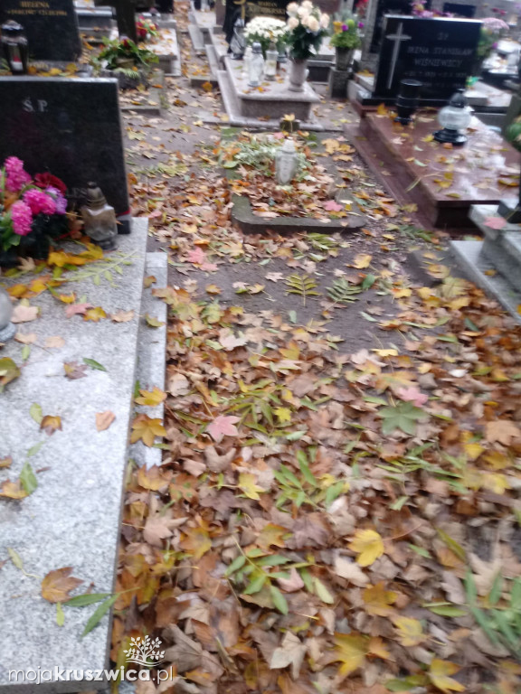 Społecznie posprzątali opuszczone groby