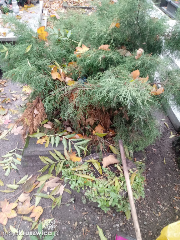 Społecznie posprzątali opuszczone groby