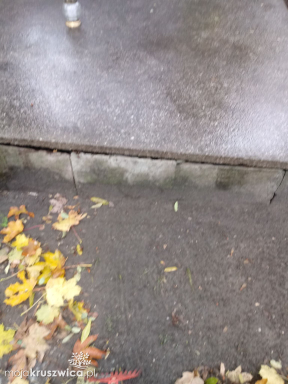 Społecznie posprzątali opuszczone groby