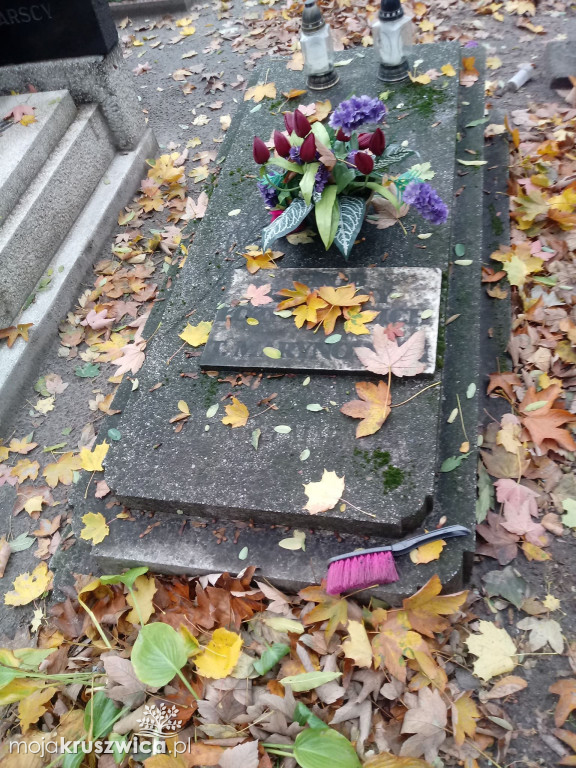 Społecznie posprzątali opuszczone groby
