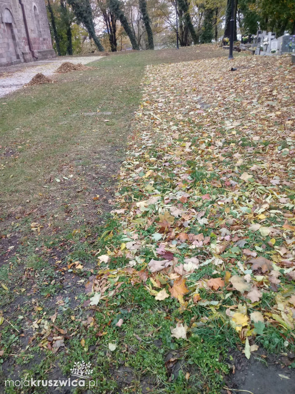 Społecznie posprzątali opuszczone groby