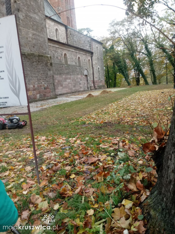 Społecznie posprzątali opuszczone groby