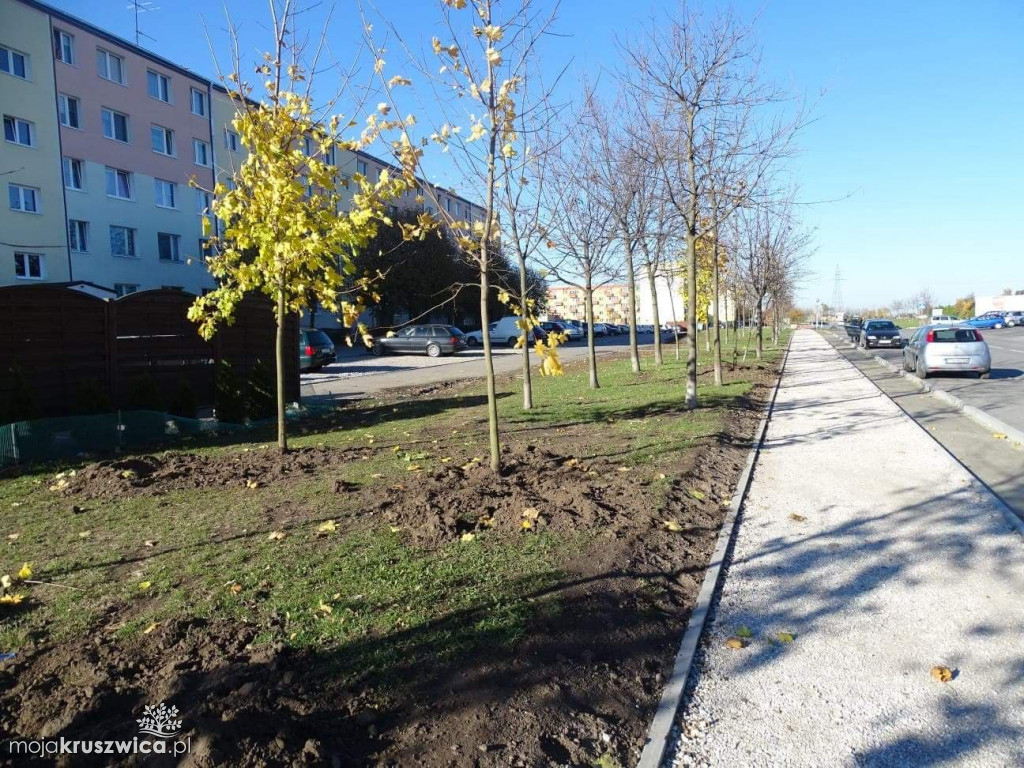 Nowe nasadzenia na Zagoplu