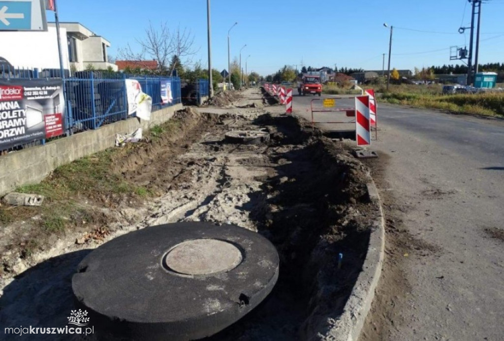 Nowe nasadzenia na Zagoplu