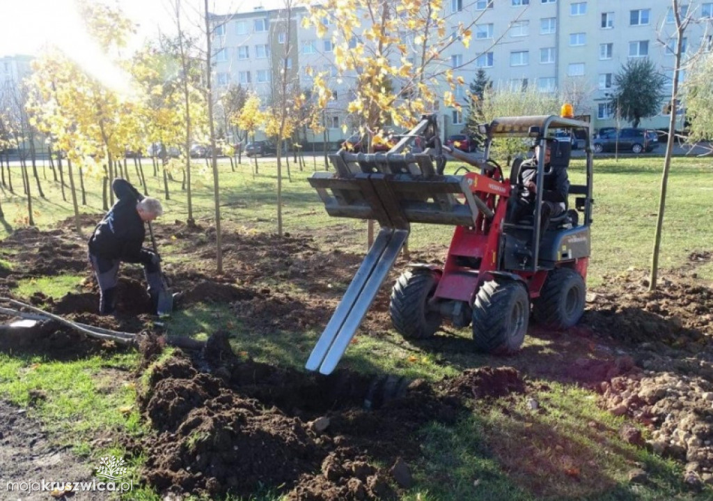 Nowe nasadzenia na Zagoplu