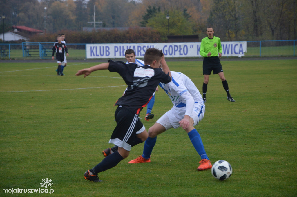 Gopło Kruszwica-Brześć Kujawski