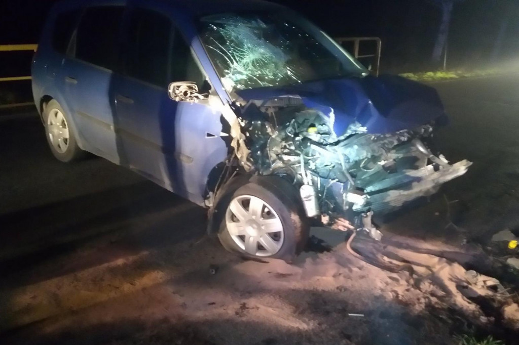 Sarna uderzyła w auto