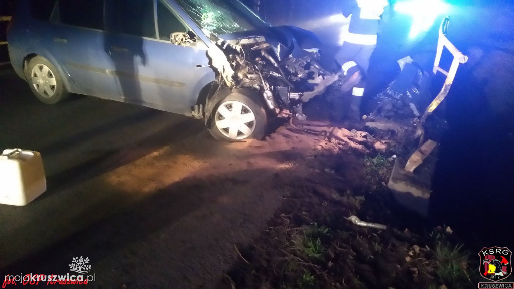 Sarna uderzyła w auto
