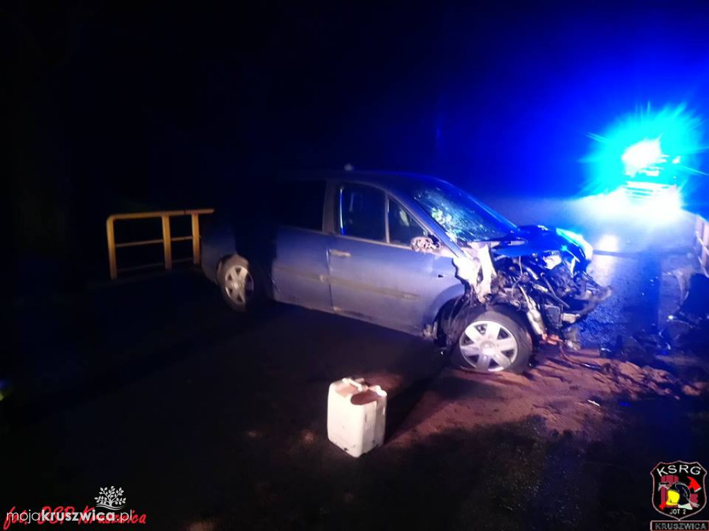Sarna uderzyła w auto