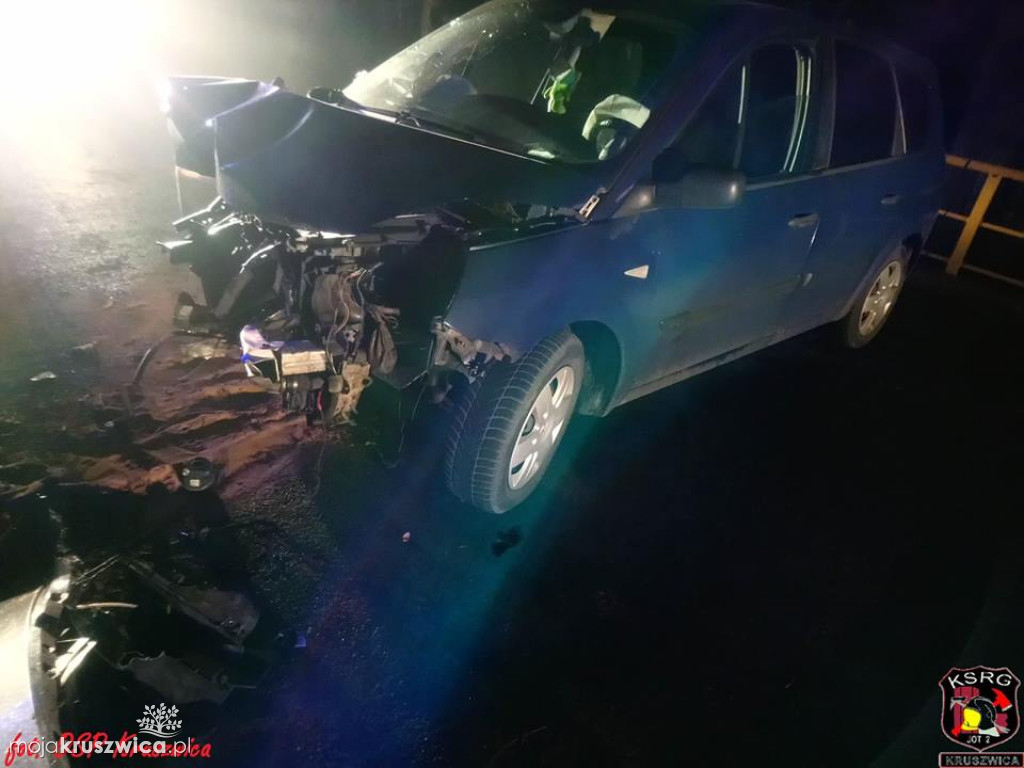 Sarna uderzyła w auto
