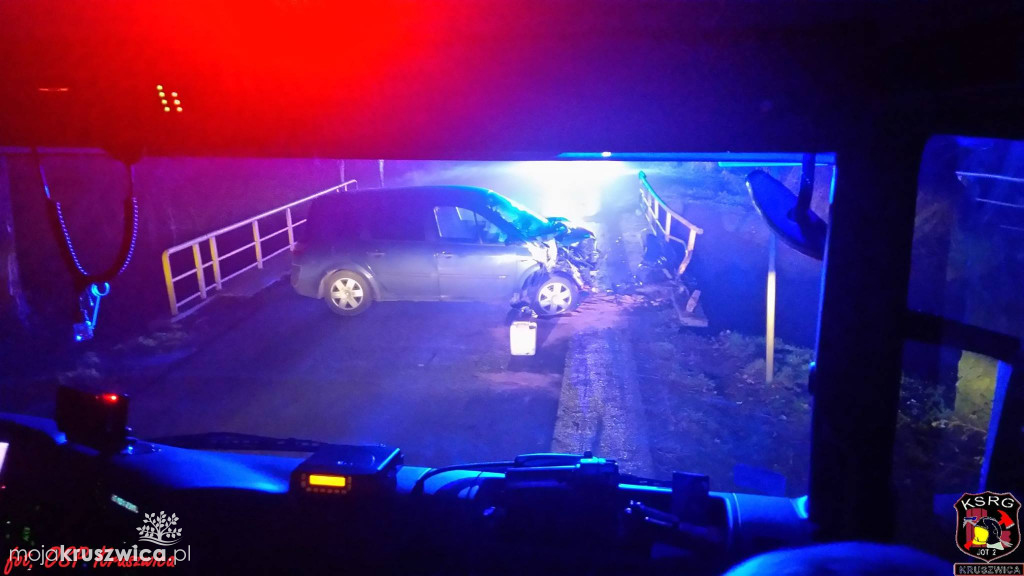 Sarna uderzyła w auto