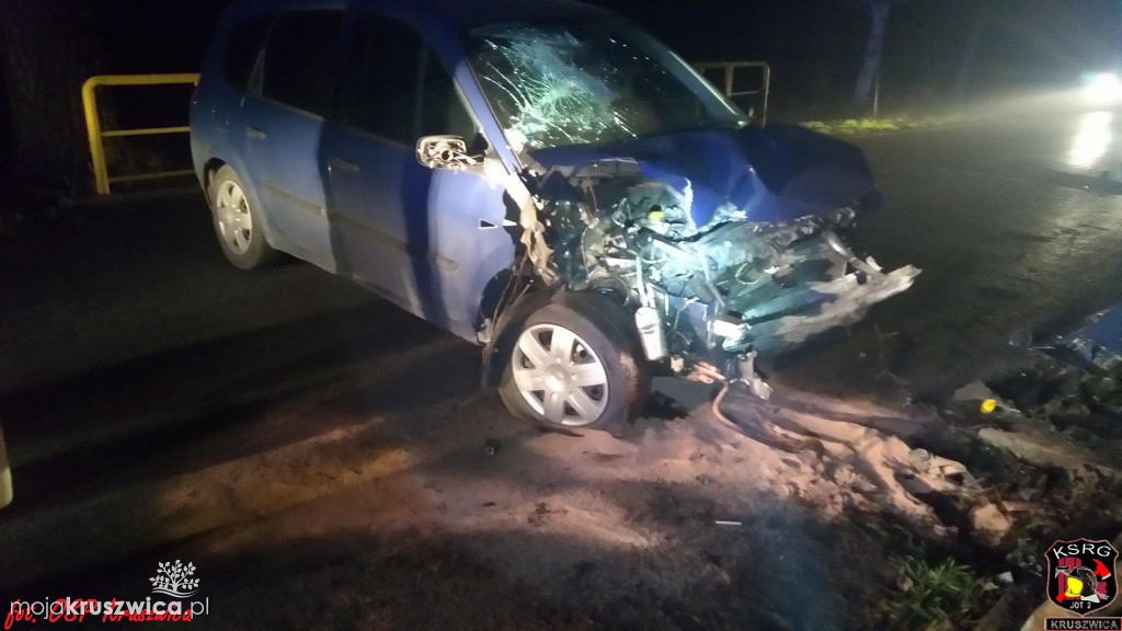 Sarna uderzyła w auto