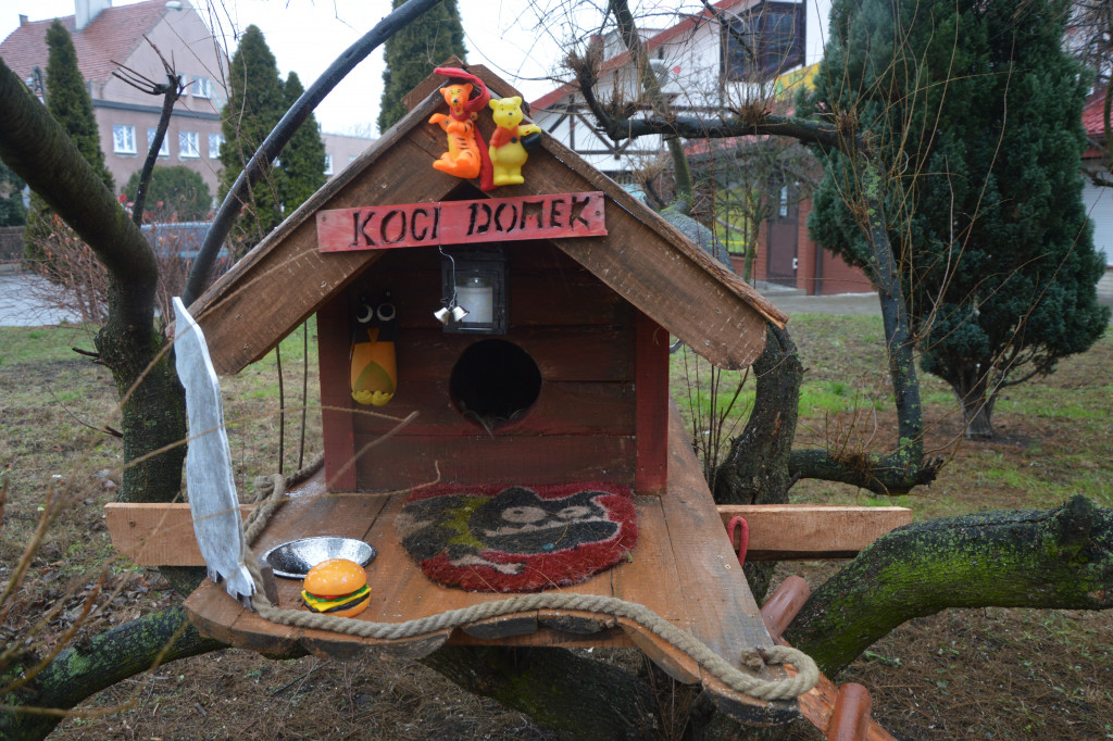 Domek dla kotów na ulicy Kujawskiej