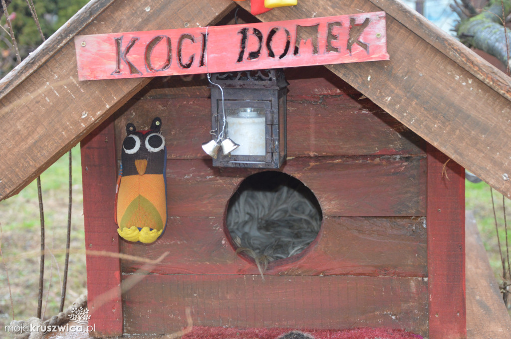 Domek dla kotów na ulicy Kujawskiej