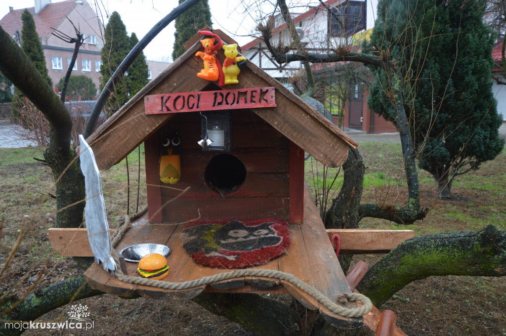 Domek dla kotów na ulicy Kujawskiej