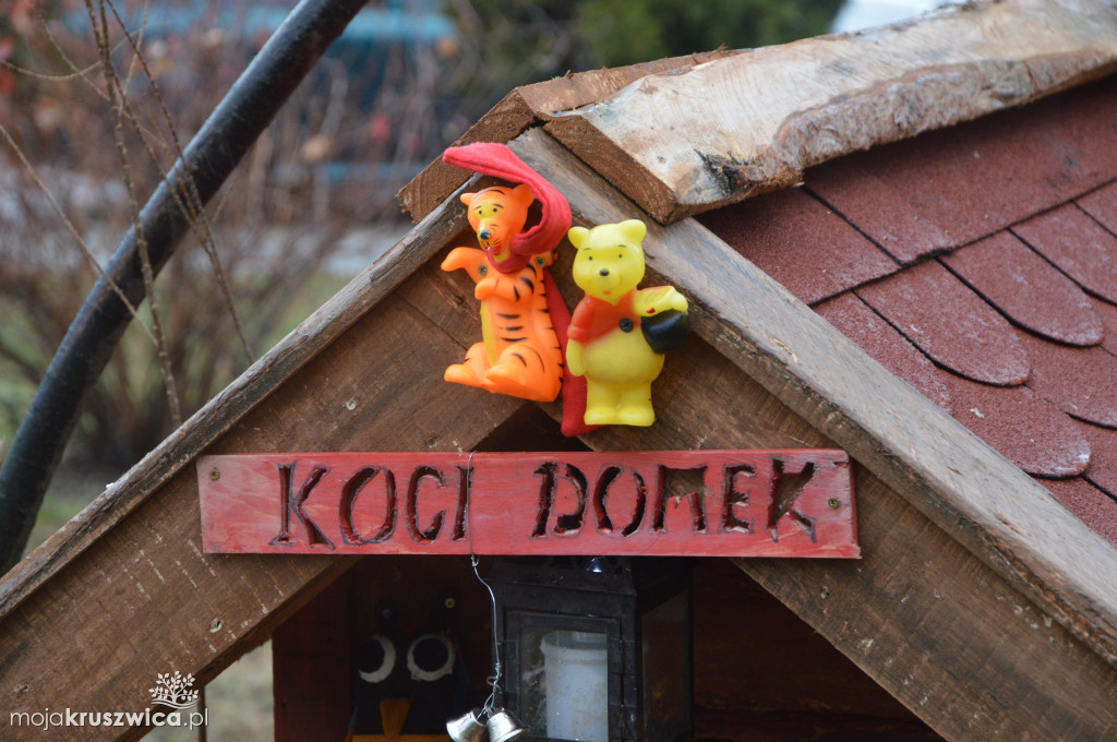 Domek dla kotów na ulicy Kujawskiej