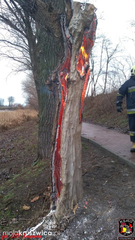 Konar zapłonął