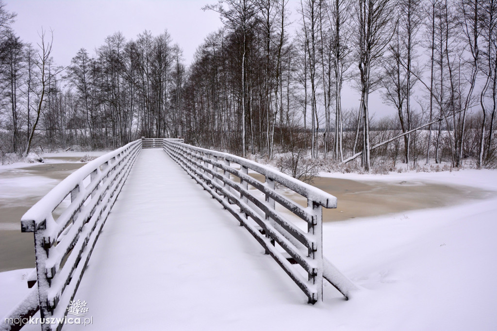 Kalendarze samorządów naszego regionu