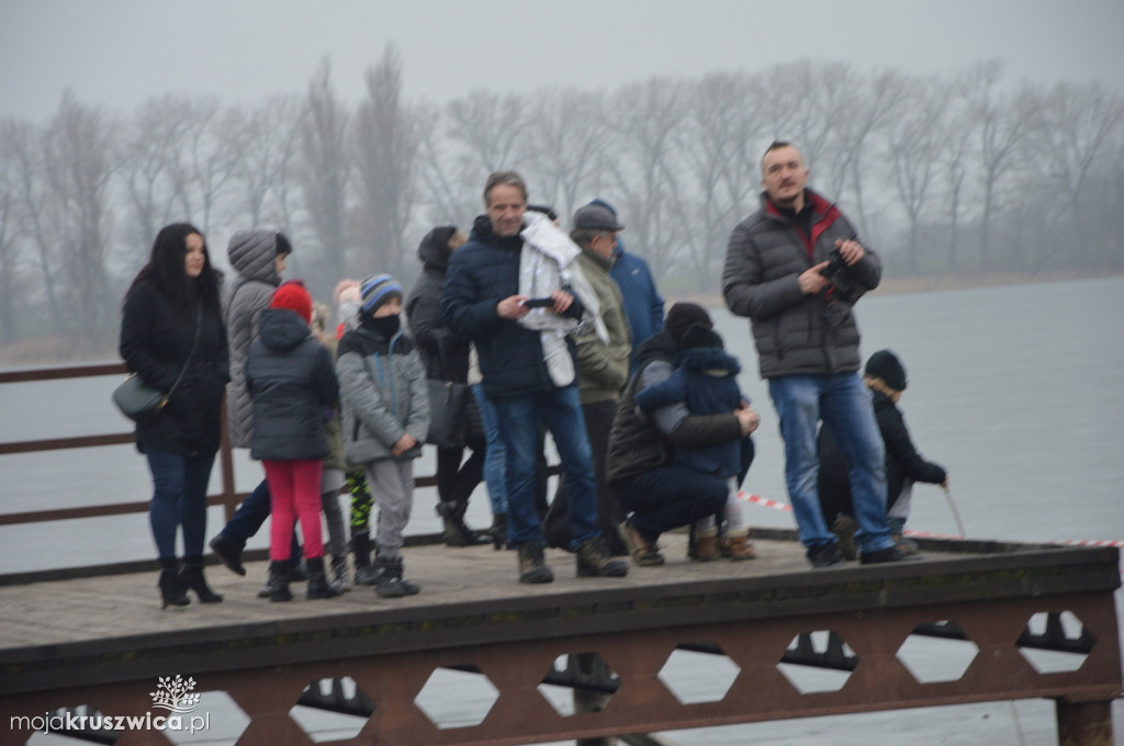 Morsy znów w Gople 3.02.