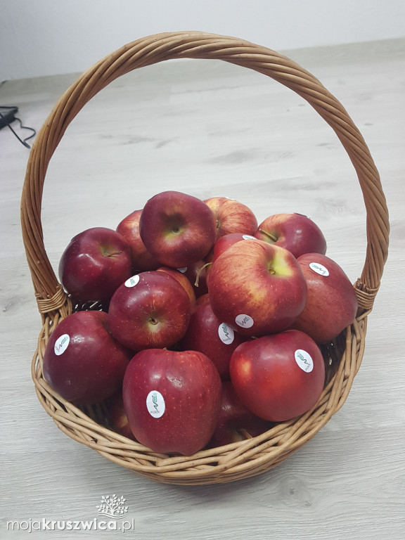 Kontrole środków ochrony roślin