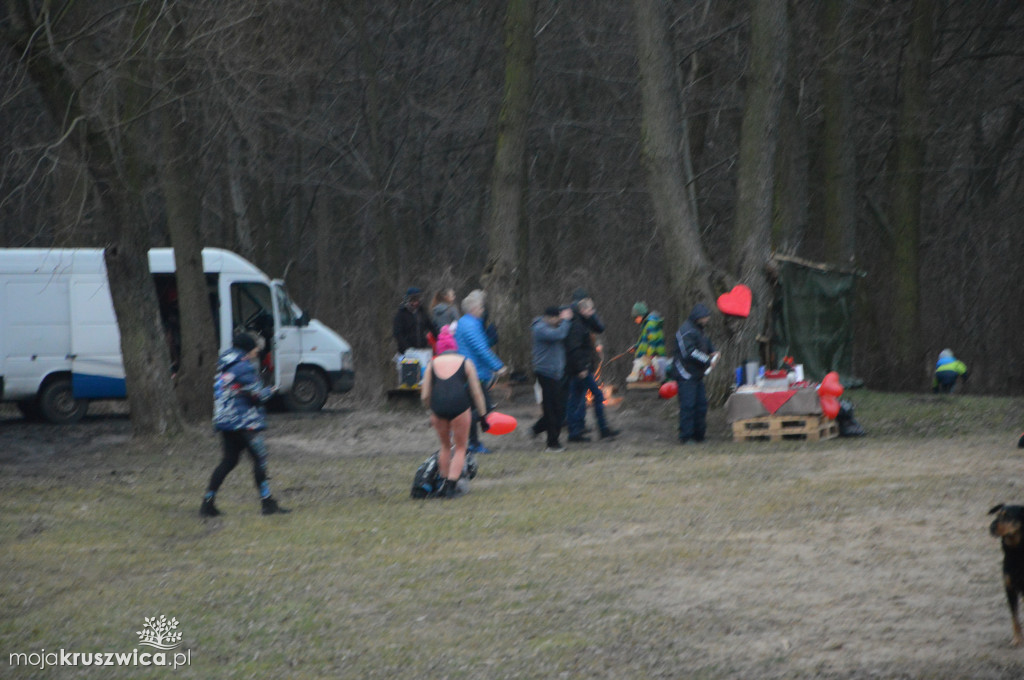 Walentynki z morsami