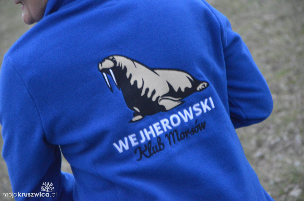 Walentynki z morsami