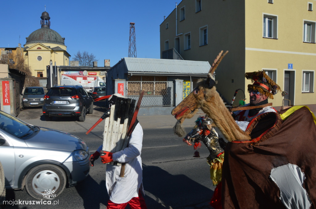 Koza na ulicach Kruszwicy