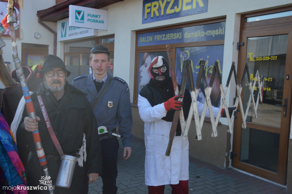 Koza na ulicach Kruszwicy