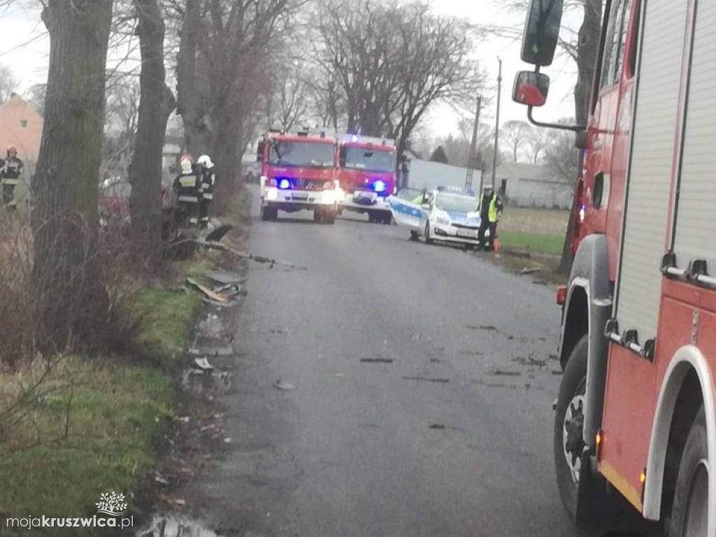 Wypadek pod Kruszwicą