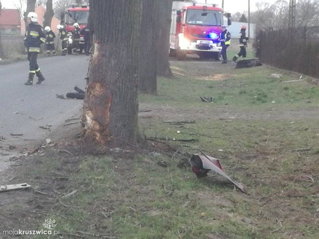 Wypadek pod Kruszwicą
