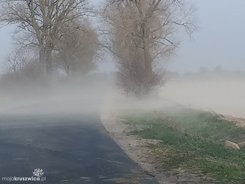 Popołudnie w okolicach Kruszwicy