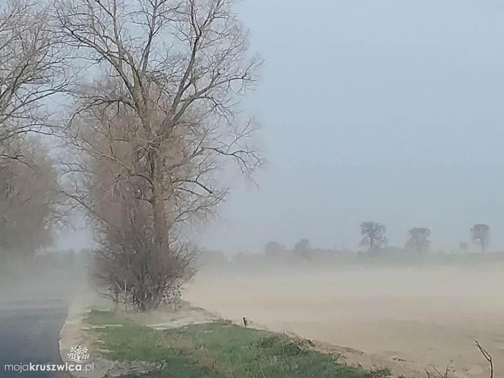 Popołudnie w okolicach Kruszwicy