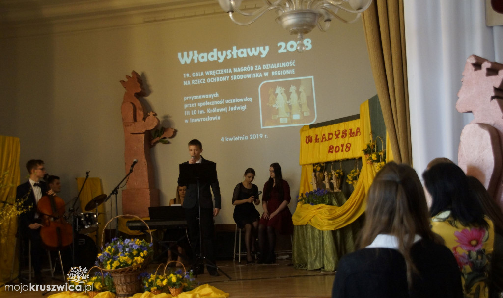 Amicus z nominacją