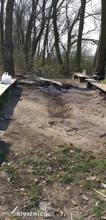 Dewastacja na dzikiej plaży