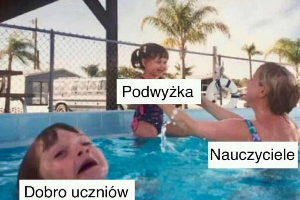 Strajk nauczycieli 2019 [MEMY]