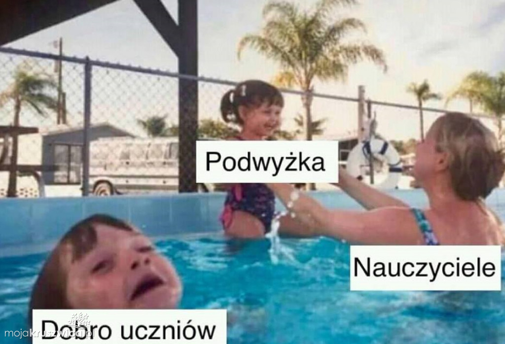 Strajk nauczycieli 2019 [MEMY]