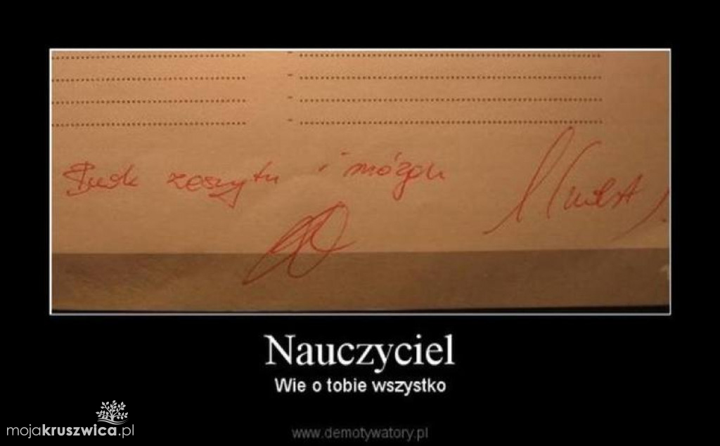 Strajk nauczycieli 2019 [MEMY]