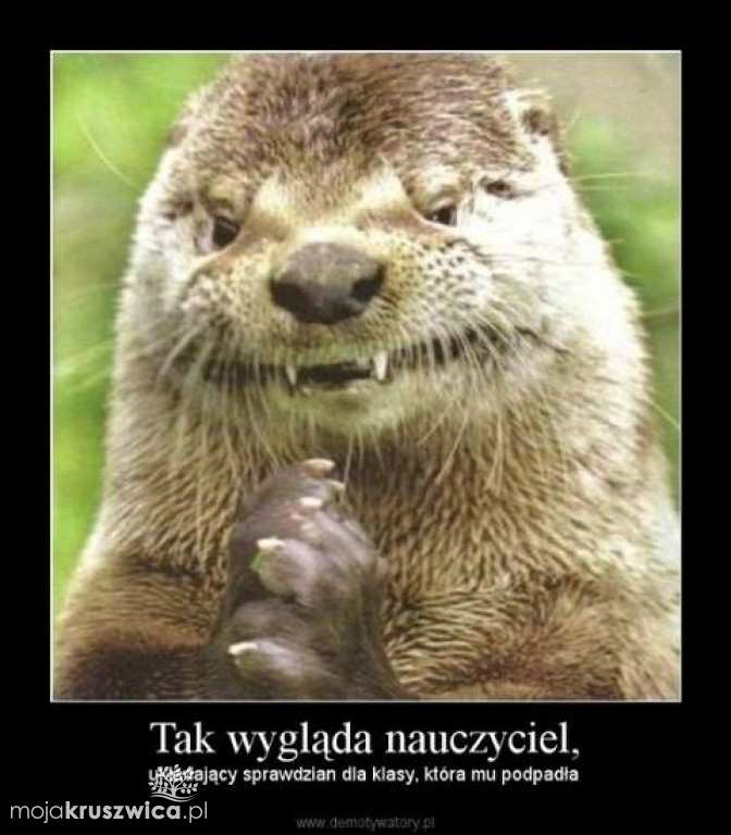 Strajk nauczycieli 2019 [MEMY]